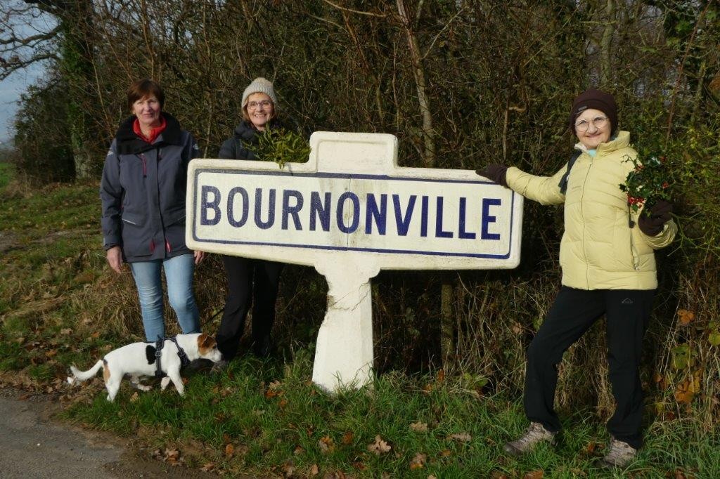 Bournonville ad 38 