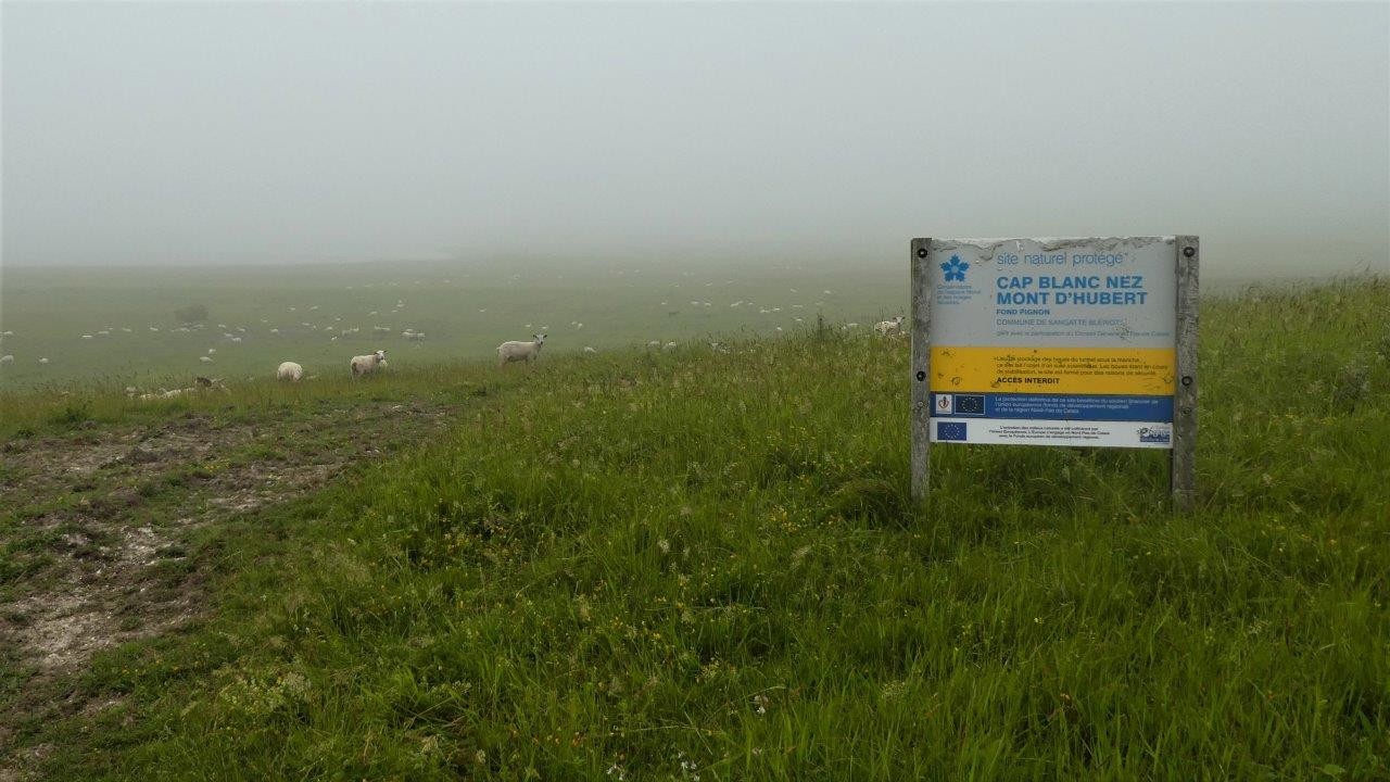 Cap blanc nez 15 