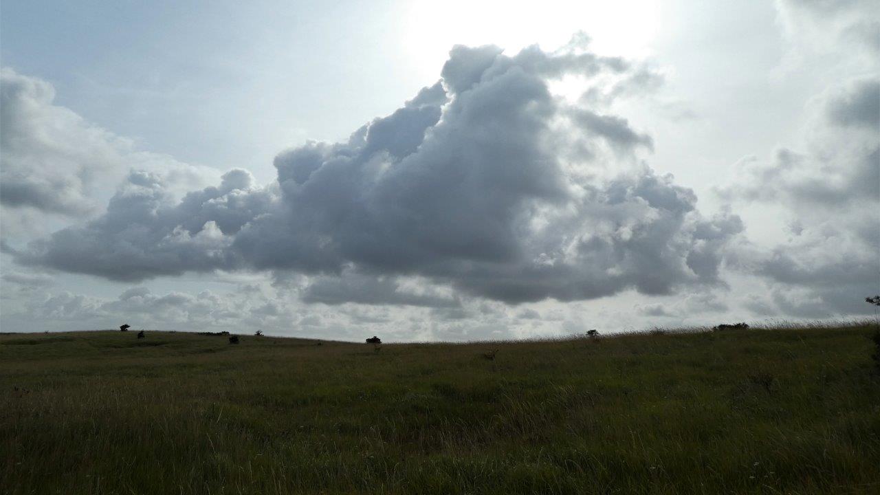 Cap Blanc Nez AD (35)