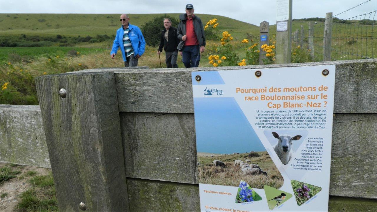 Cap Blanc Nez AD (39)