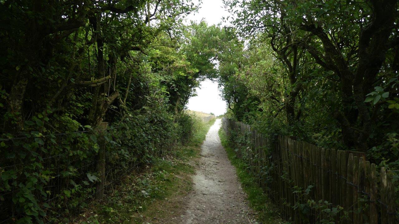 Cap Blanc Nez AD (41)