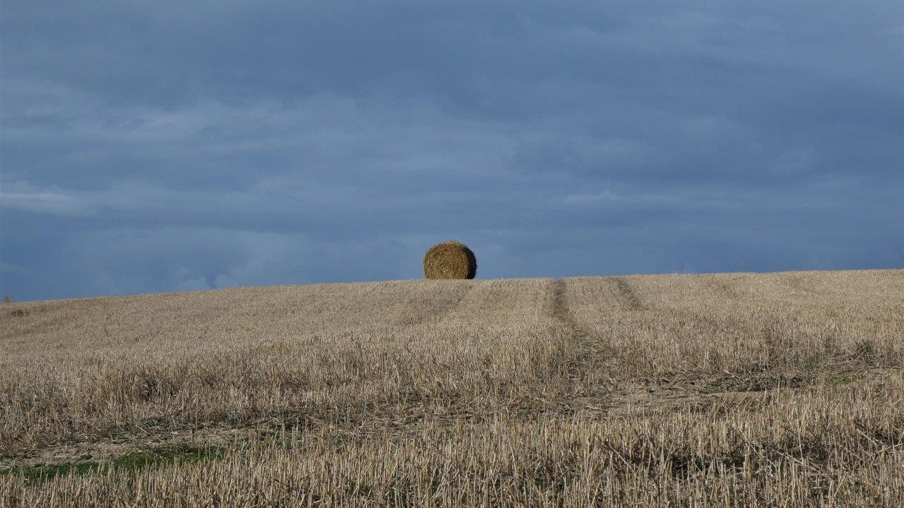 Cap gris nez ad 18 