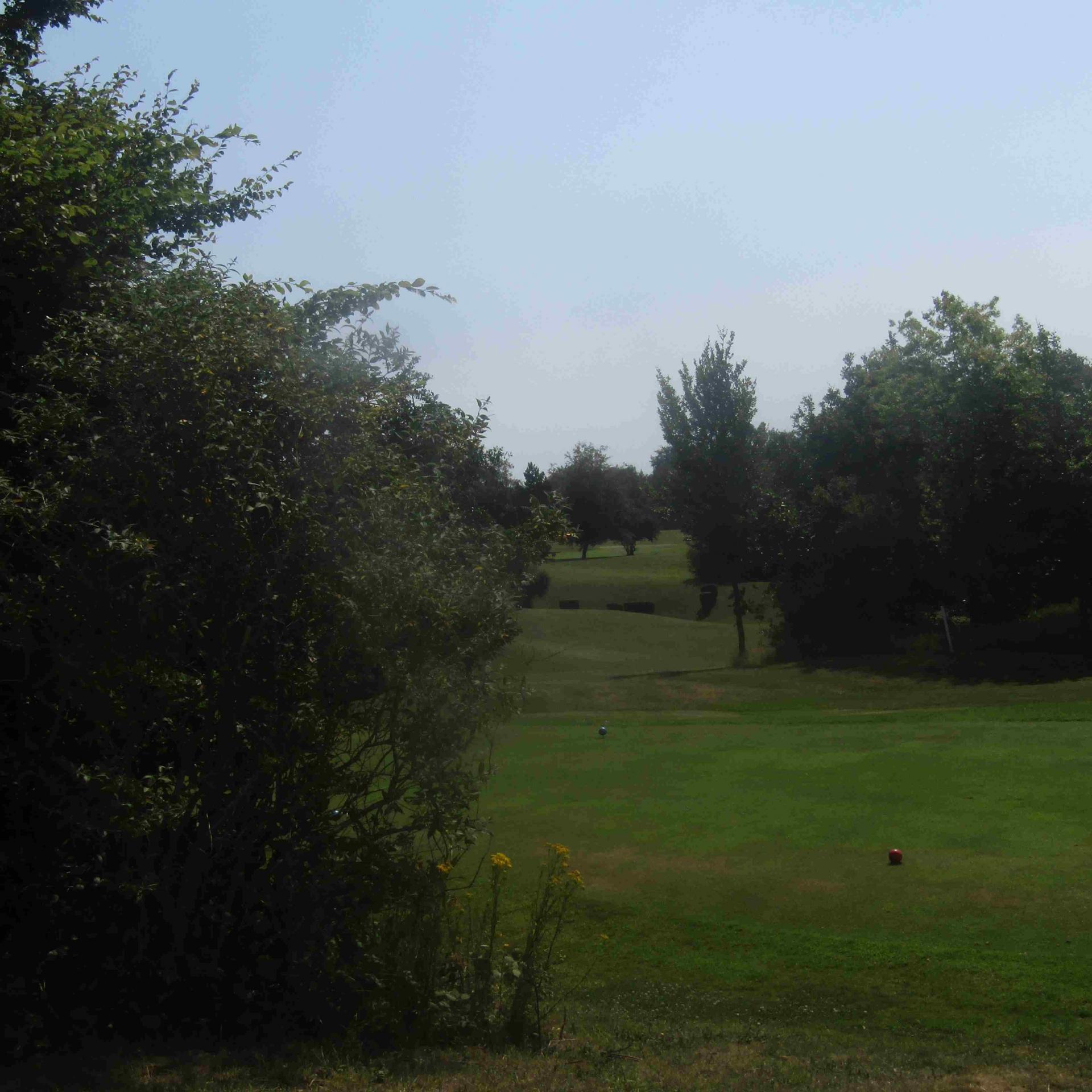 CBGOLF12