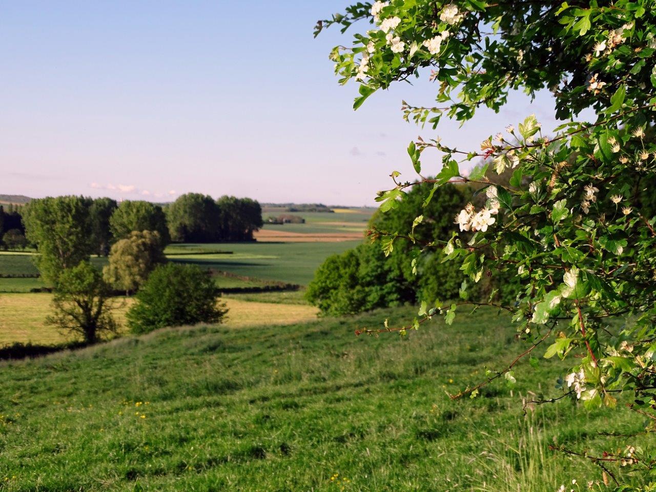 Houlle_CB (6)