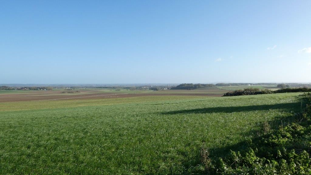 Longuenesse ad 23 