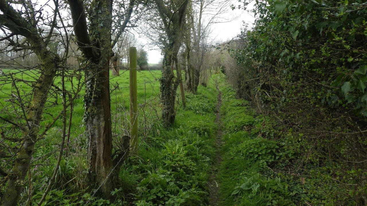 Mametz ad 15 