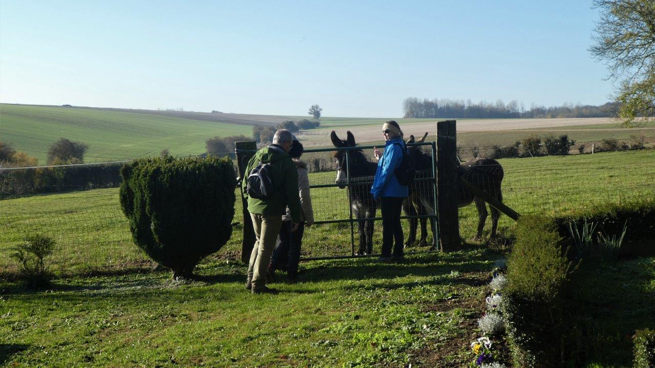 Mentque Nortbecourt Annie (34)