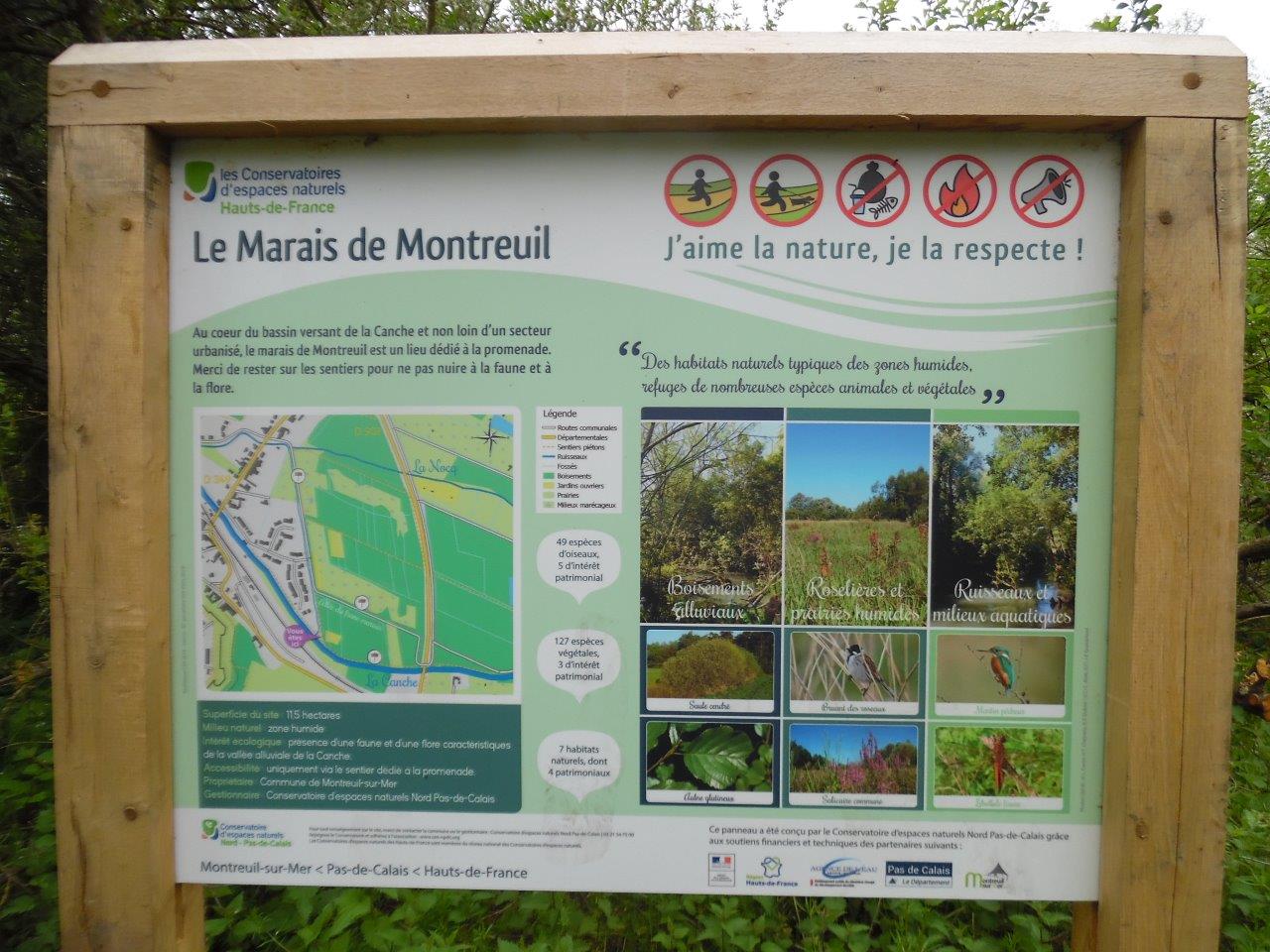 Montreuil R_D (31)