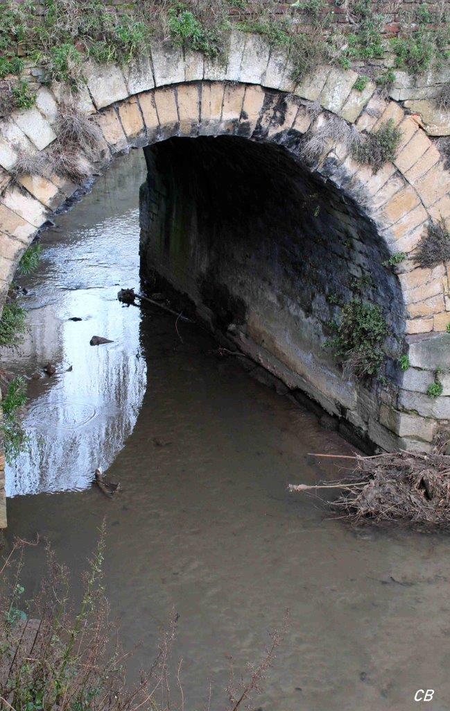 Saint-Omer_CB (3)