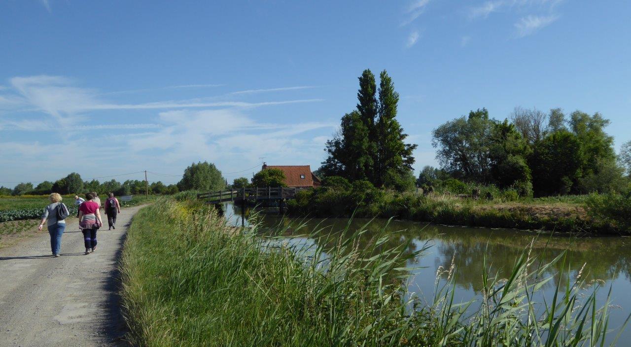 St Omer Annie (11)