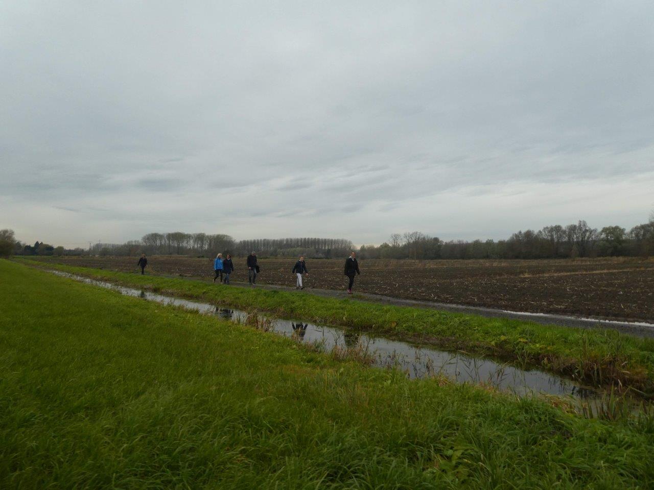 Téléthon 2019 (8)