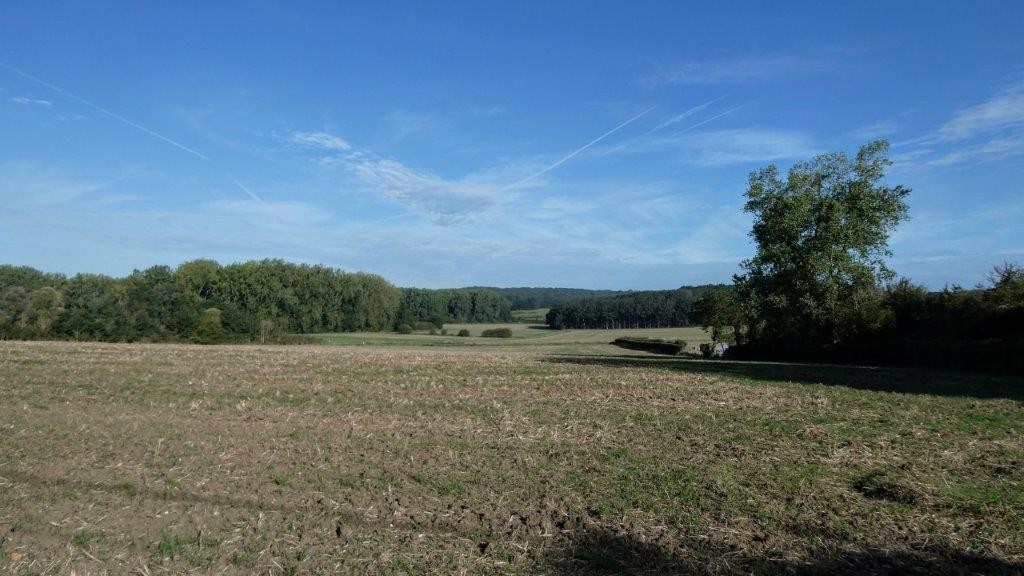 Wulverdinghe ad 12 