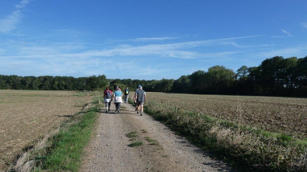 Wulverdinghe ad 17 